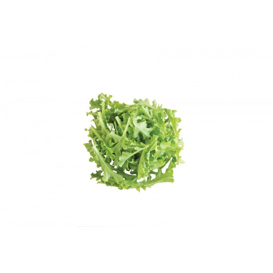 Sulu - Lettuce Seed