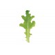 Sulu - Organic Lettuce Seed