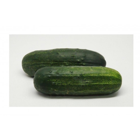 Supremo - (F1) Cucumber Seed