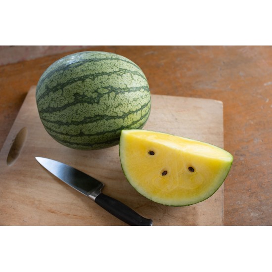Sureness - Yellow Watermelon Seeds