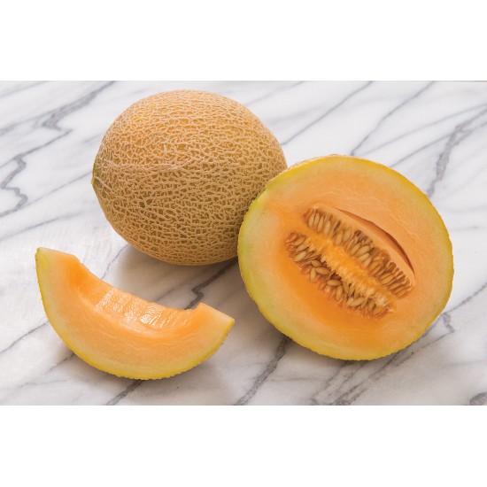 Tasty Bites - (F1) Melon Seed