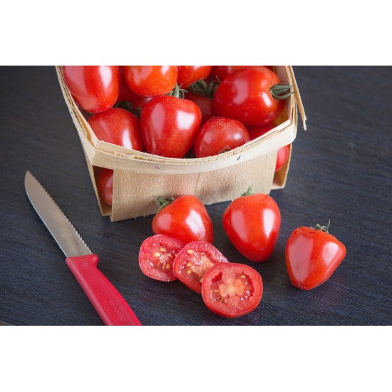 Tomatoberry Garden - (F1) Tomato Seed
