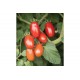 Valentine - Organic (F1) Tomato Seed