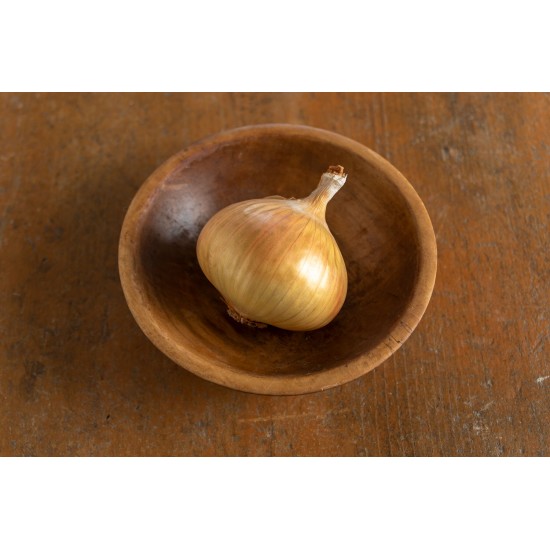 Walla Walla Sweet - Onion Seed