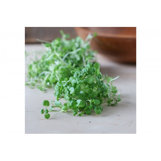 Watercress - Microgreen Seed