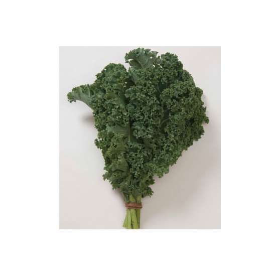 Winterbor - (F1) Kale Seed