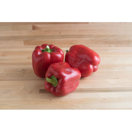 X3R® Red Knight - (F1) Bell Pepper Seed