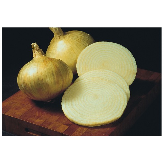 Yellow Granex - Vidalia Onion Seed
