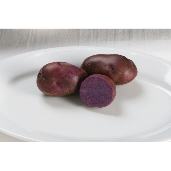 Adirondack Blue - Purple Seed Potatoes