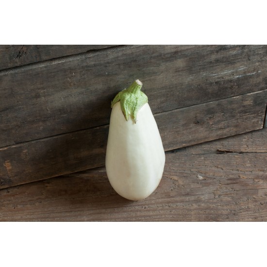 Clara - (F1) Eggplant Seed