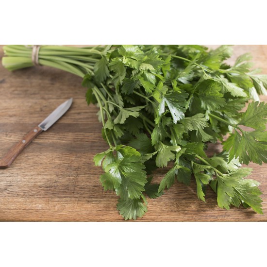 Cutting Celery - Organic Herb Seed