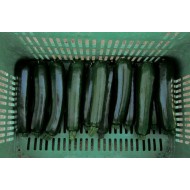 Green Machine - Organic (F1) Zucchini Squash Seed - Vegetables