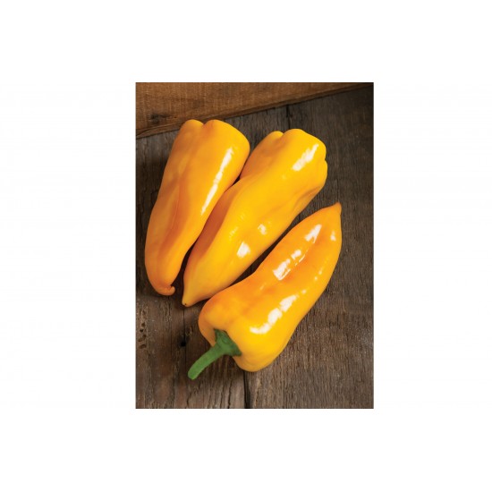 Escamillo - Organic (F1) Corno di Toro Pepper Seed