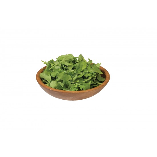 Esmee - Organic Salad Arugula Seed