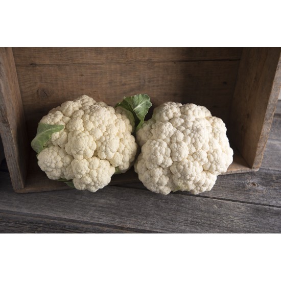 Mardi - Organic (F1) Cauliflower