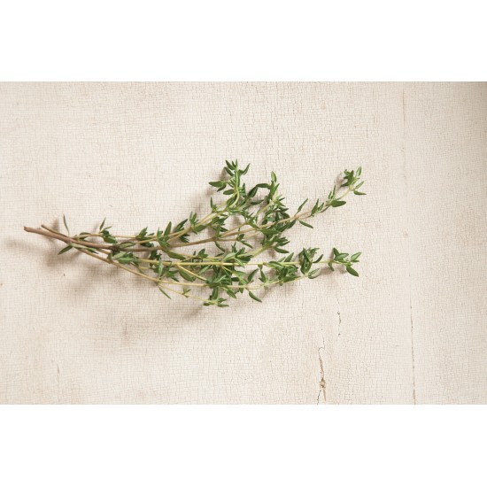 Summer - Thyme Seed