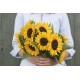 Sunrich Orange Summer - Sunflower Seed
