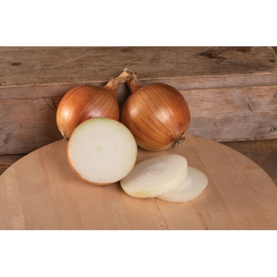 Talon - Organic (F1) Onion Seed