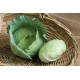 Tendersweet - (F1) Cabbage Seed